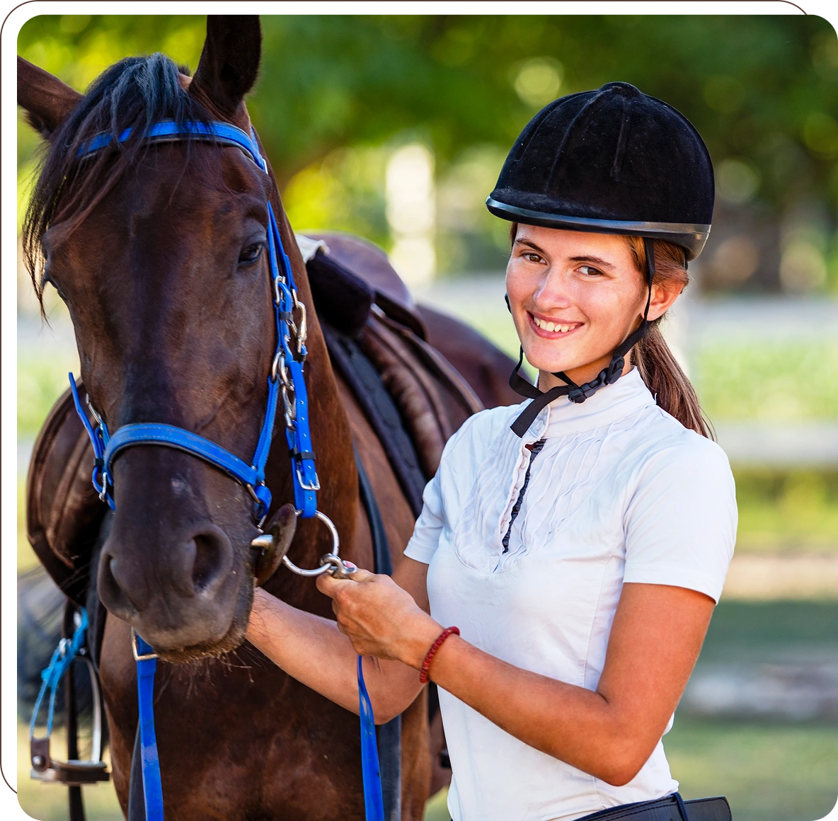 Rider in helmet with brown horse