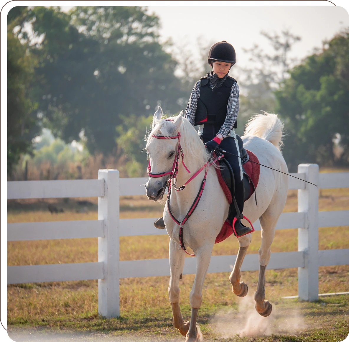 Kid in helmet riding horse outdoors