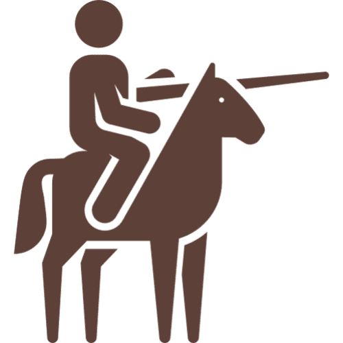 Riding Lessons