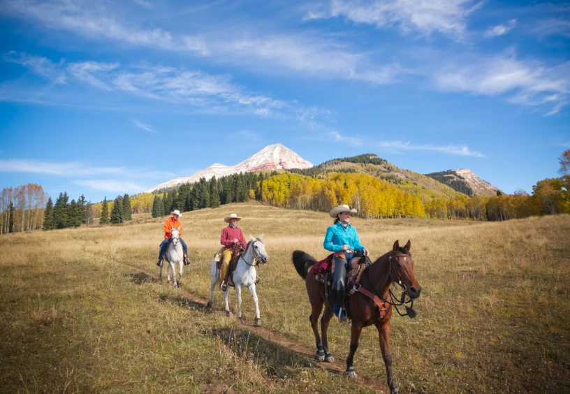 Horseback riding near autumn forest