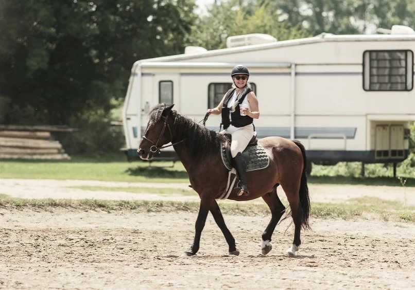 Horseback rider passing RV