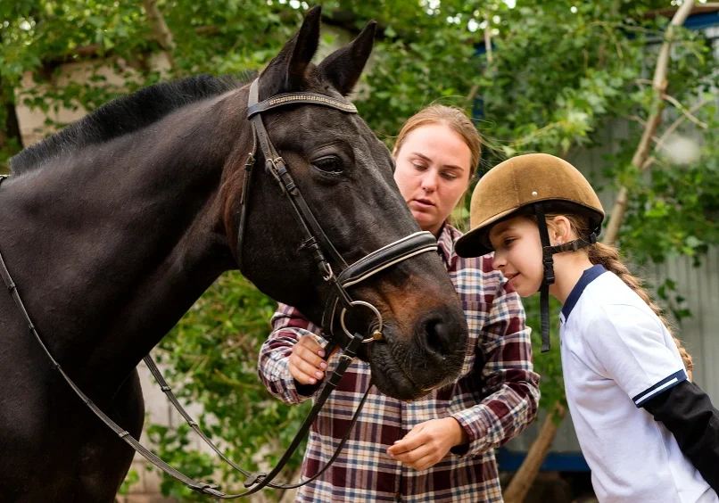 Child and adult bonding with horse